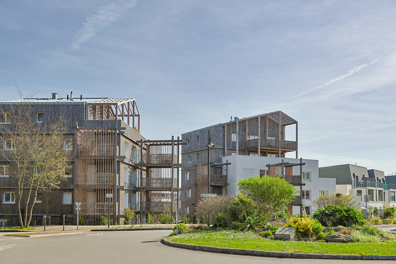 Le jardin des oiseaux