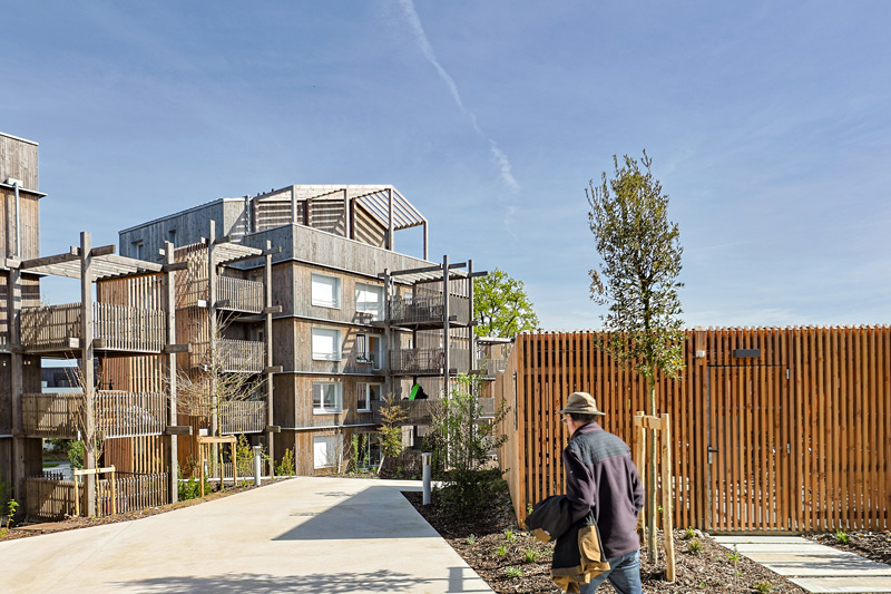 Le jardin des oiseaux