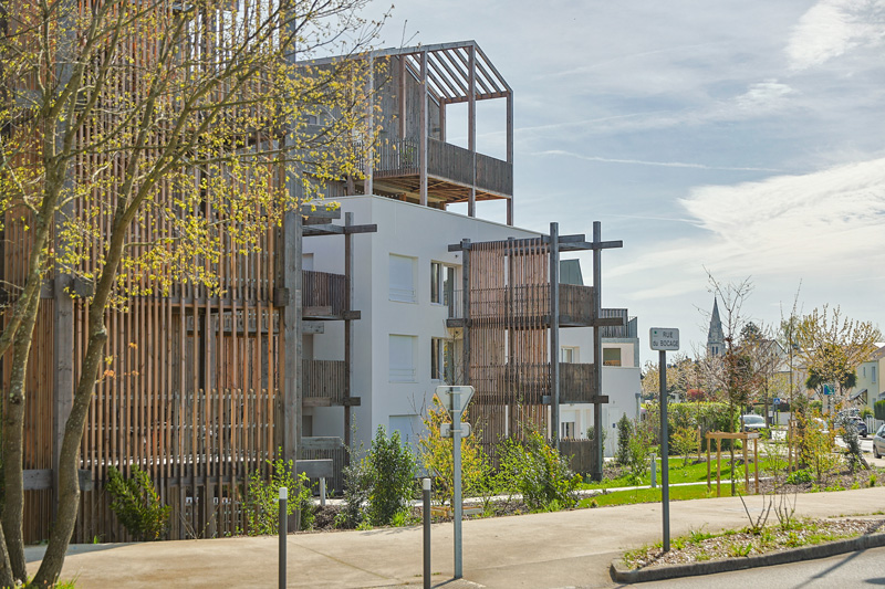Le jardin des oiseaux